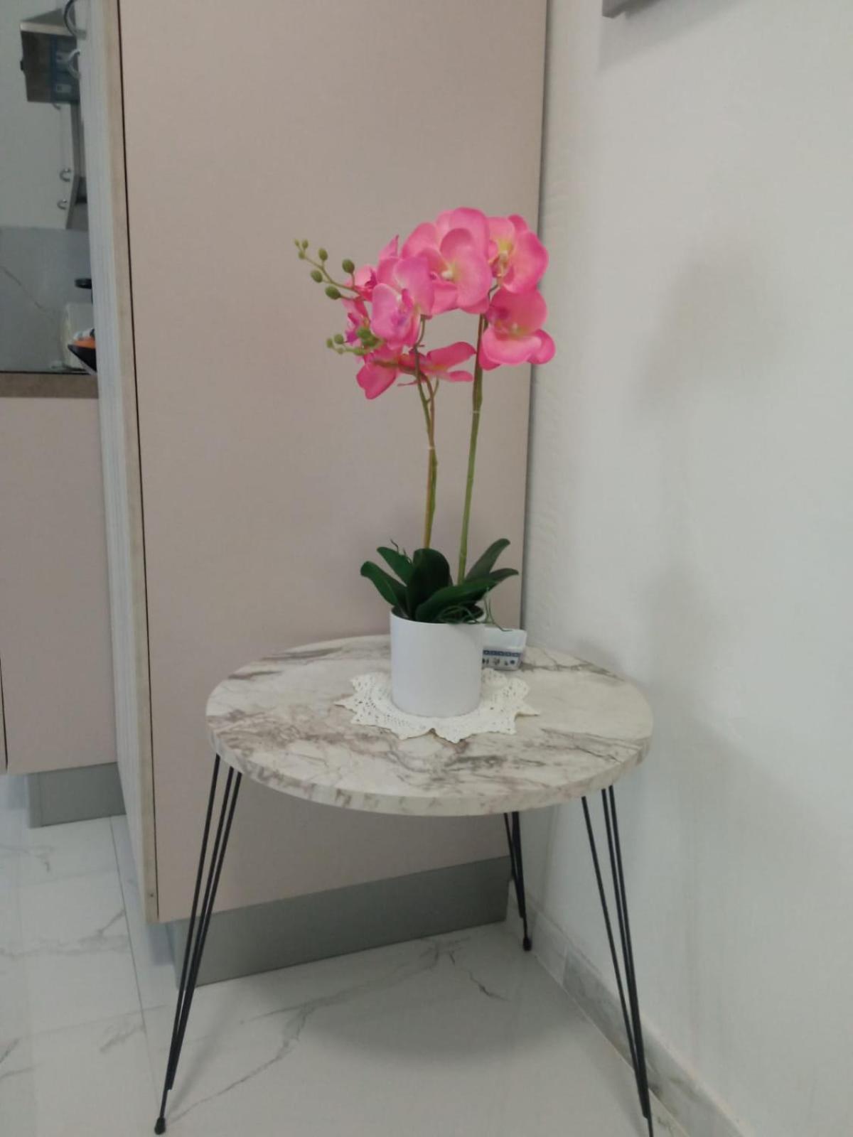 Wh - Dolce Vita - Bilocale - 5 Minuti Dal Centro - Parcheggio Gratuito - Wifi Sanremo Eksteriør bilde
